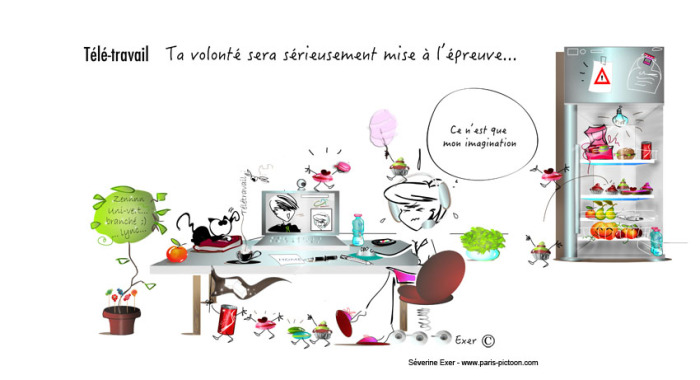loi teletravail 29 fevrier 2012