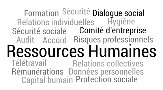 offre d'emploi teletravail ressources humaines