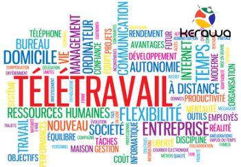 offre emploi teletravail paris