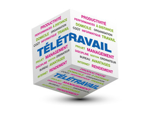 teletravail 3d
