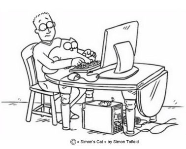 teletravail a domicile legislation