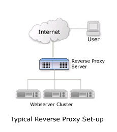 teletravail guadeloupe