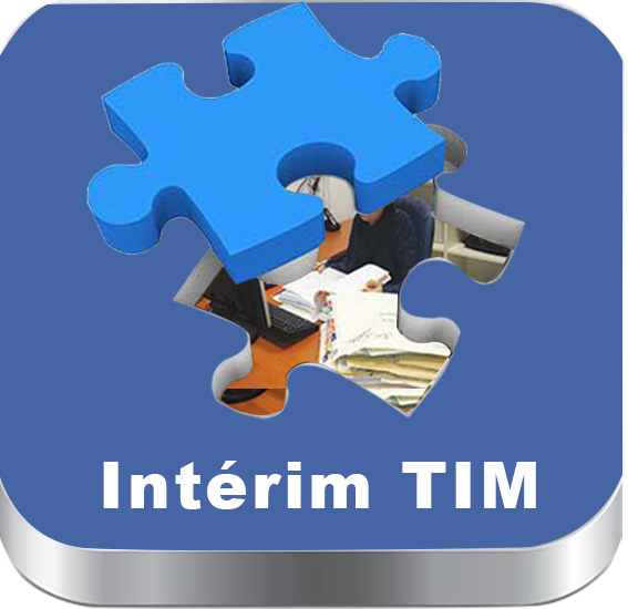 teletravail interim
