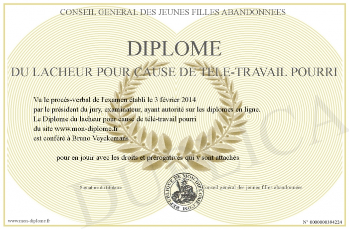 teletravail sans diplome