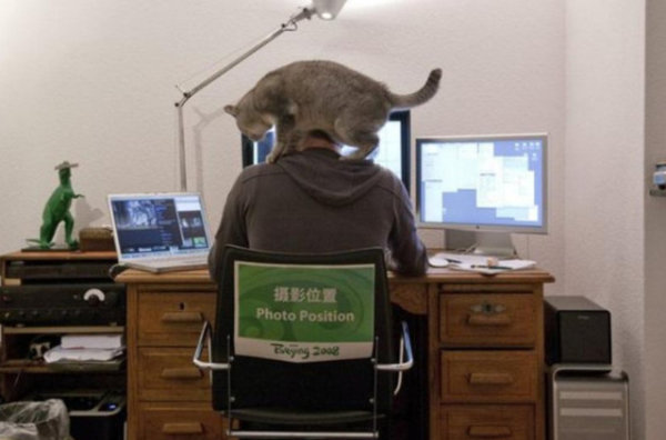teletravail suisse