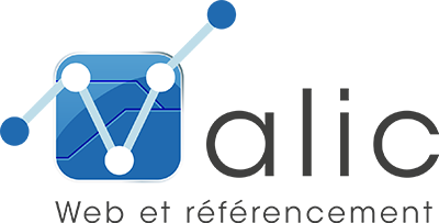 teletravail webdesigner