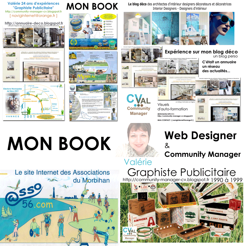 teletravail webdesigner