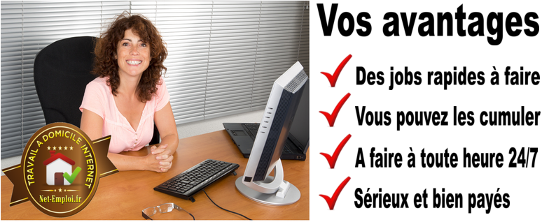 travail a domicile 100 euro par jour