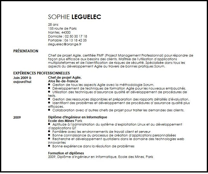 travail a domicile informatique developpement