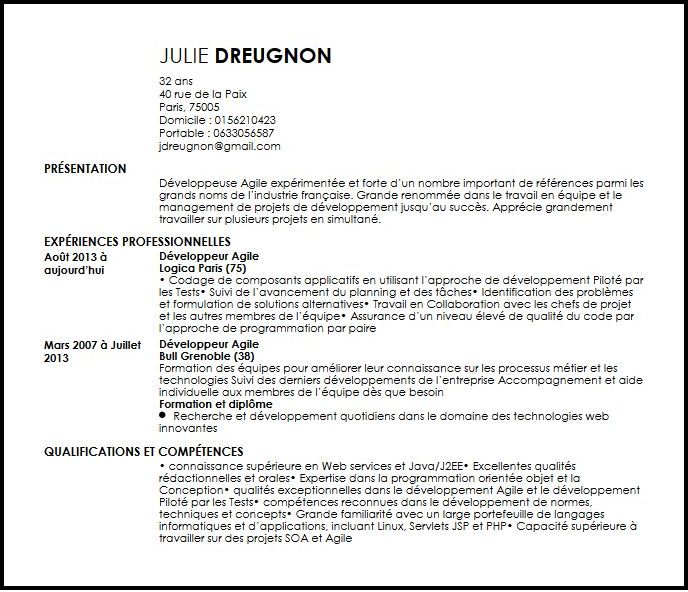 travail a domicile informatique developpement