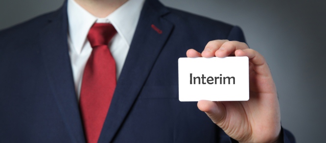 travail a domicile interim