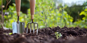 travail a domicile jardinage