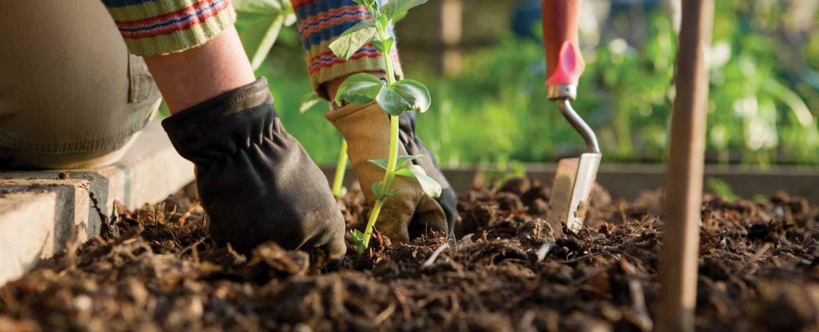 travail a domicile jardinage