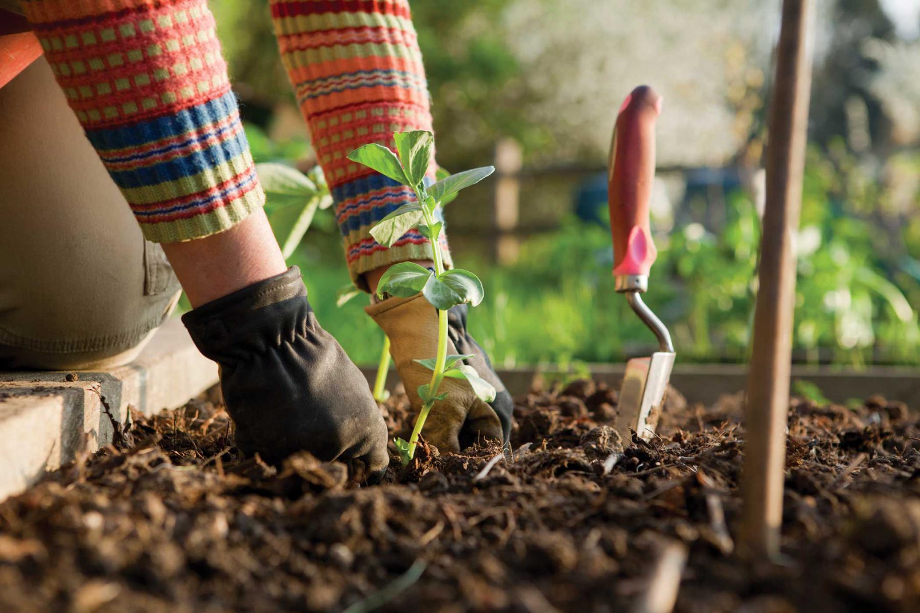 travail a domicile jardinage