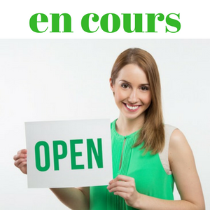 travail a domicile web