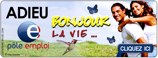 travail a la maison complement de revenu