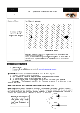 travail a la maison la retine zone de reception des informations