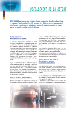 travail a la maison la retine zone de reception des informations