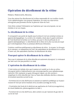 travail a la maison la retine zone de reception des informations