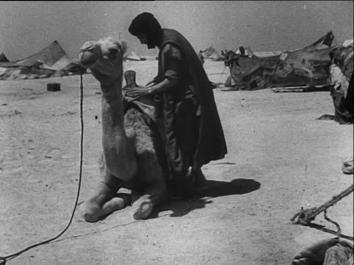 travail a la maison maroc