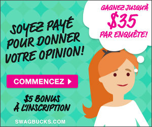 travail a la maison sondage
