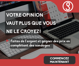 travail a la maison sondage