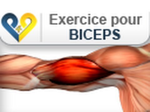 travail biceps a la maison
