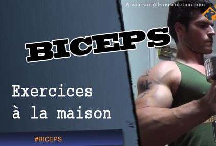 travail biceps a la maison