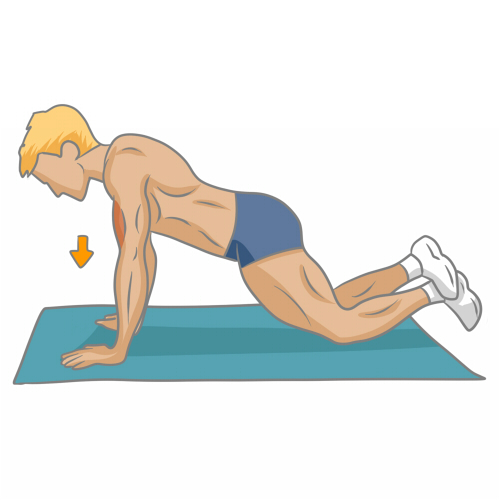 travail biceps a la maison